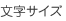 文字サイズ：