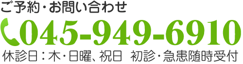 ���\��E���₢���킹�͓d�b045-949-6910�@�x�f���F�ؗj�A���j�A�j���@���f�A�}��������t